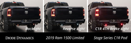 Stage Series Reverse Light Kit for 2019-PresentRam, C1 Pro Diode Dynamics - TRUCKED UP - Truck Superstore