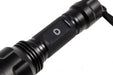 Diode Dynamics 800 Lumen Flashlight Diode Dynamics - TRUCKED UP - Truck Superstore