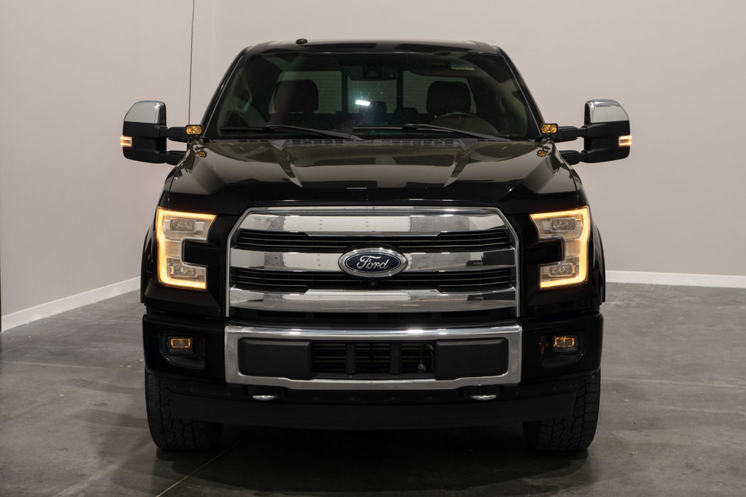 Elite Series Fog Lamps for 2015-2020 Ford F-150 Pair, Yellow (3000K) Diode Dynamics - TRUCKED UP - Truck Superstore