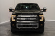 Elite Series Fog Lamps for 2015-2020 Ford F-150 Pair, Yellow (3000K) Diode Dynamics - TRUCKED UP - Truck Superstore