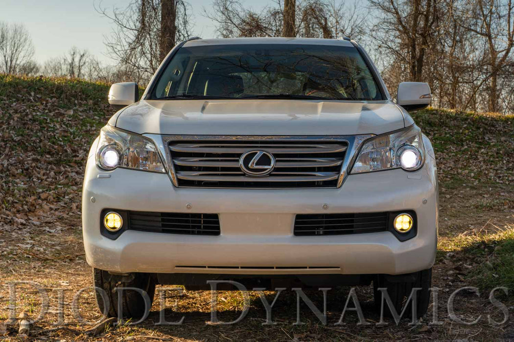SS3 LED Fog Light Kit for 2010-2013 Lexus GX460, White SAE Fog Max with Backlight Diode Dynamics - TRUCKED UP - Truck Superstore