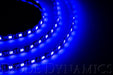 LED Strip Lights Blue 50cm Strip SMD30 WP Diode Dynamics - TRUCKED UP - Truck Superstore