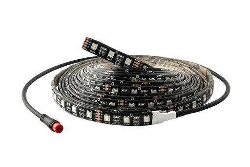 RGBW 500cm Strip SMD120 M8 Multicolor Diode Dynamics - TRUCKED UP - Truck Superstore