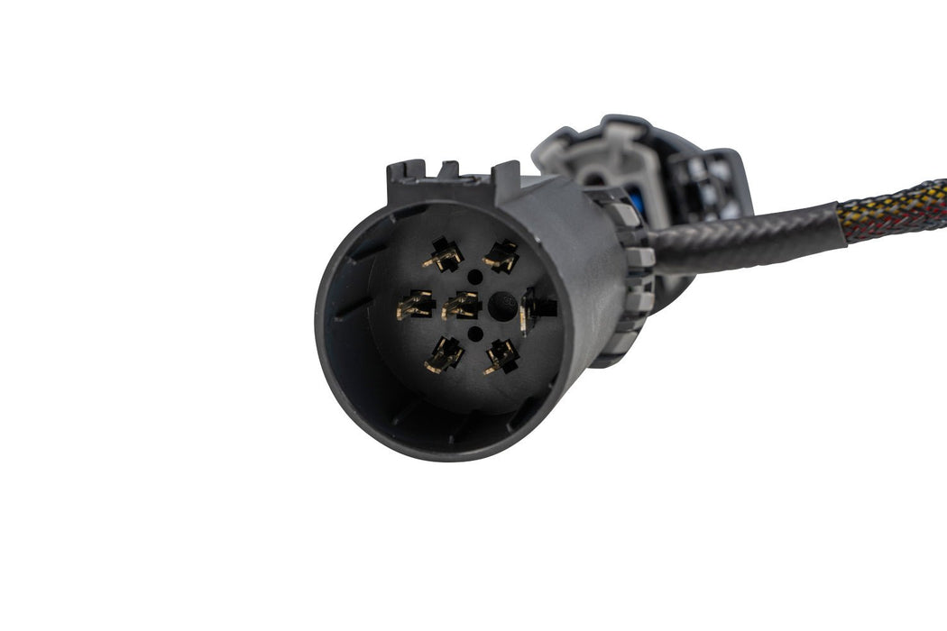 Stage Series Trailer Hitch Dual Output 7-Pin Wiring Harness Diode Dymanics - TRUCKED UP - Truck Superstore