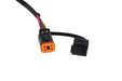 C1R 7-pin Hitch Mount Single Output Trailer Harness Diode Dynamics - TRUCKED UP - Truck Superstore